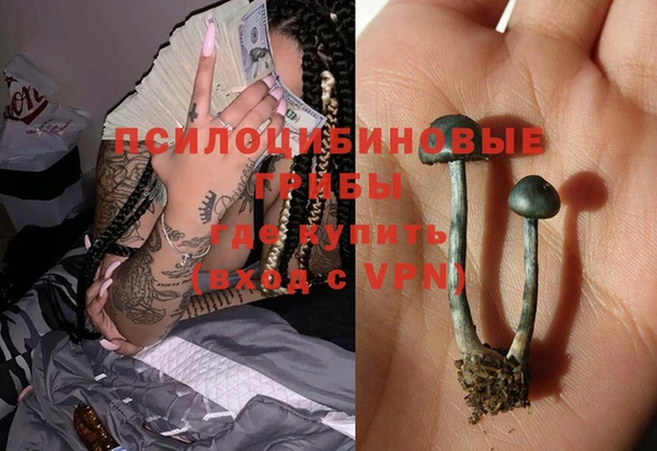 apvp Новодвинск