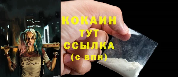 ПСИЛОЦИБИНОВЫЕ ГРИБЫ Видное
