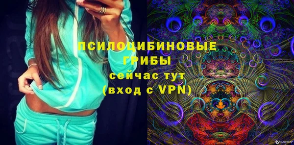 apvp Новодвинск